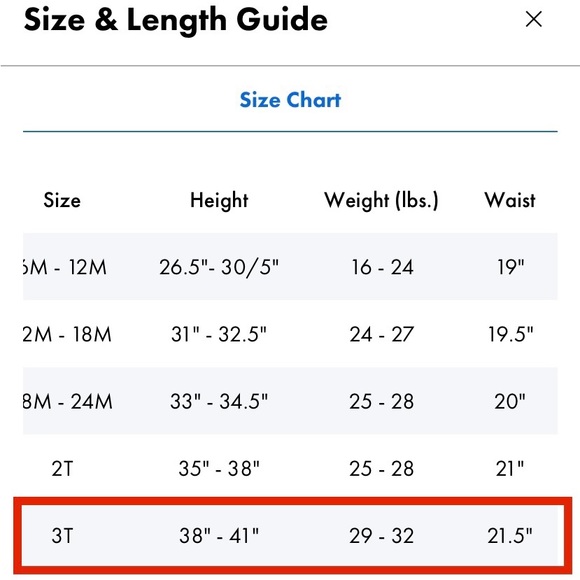 Chubbies Little Kids Classic Swim Trunk - Picture 4 of 4